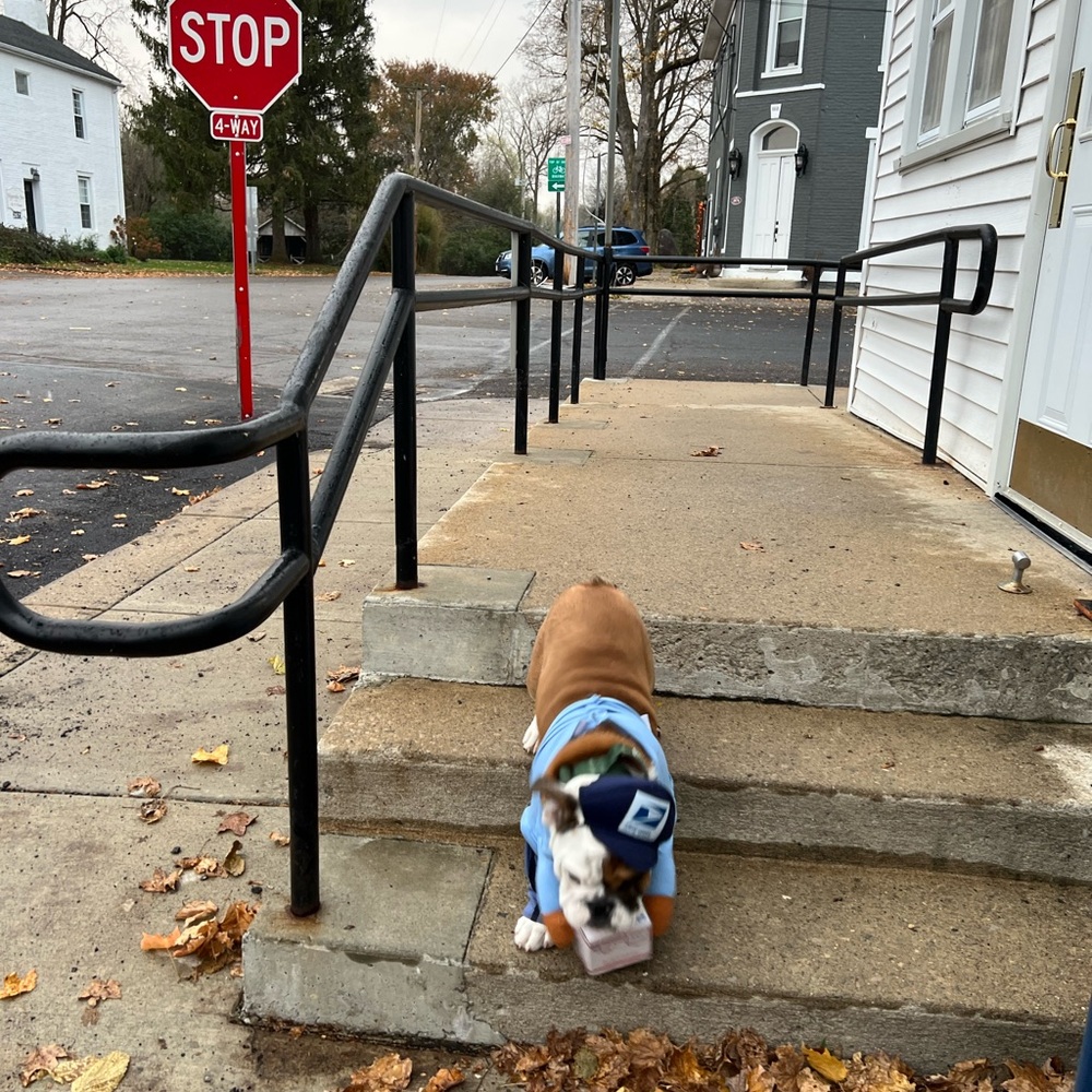 Extra Shipping Label - Picture 8 of 13